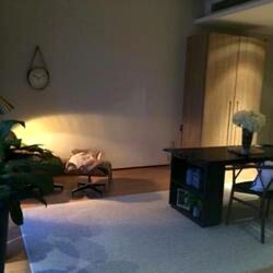 OUE Twin Peaks (D9), Condominium #508588631